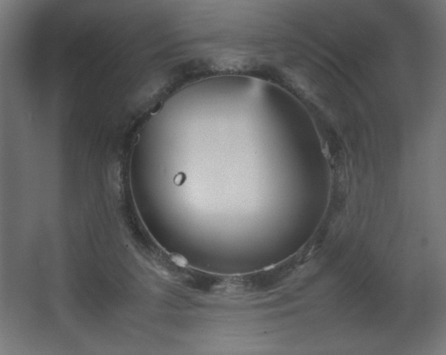 X0000067830211200604201224