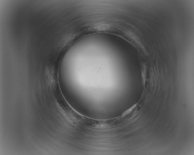 X0000067830212200604201224