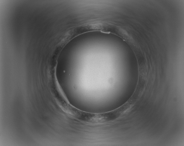 X0000067830213200604201224