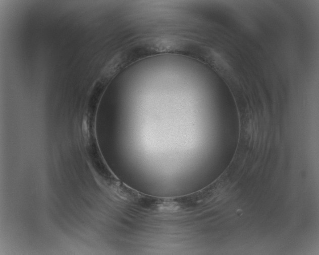 X0000067830214200604201224