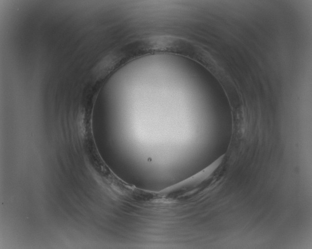 X0000067830216200604201224