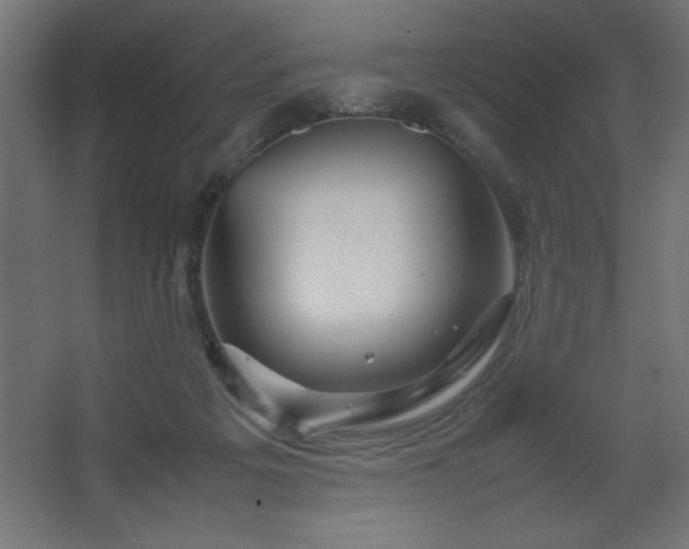 X0000067830217200604201224