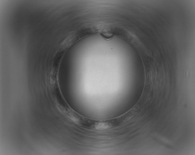 X0000067830218200604201224