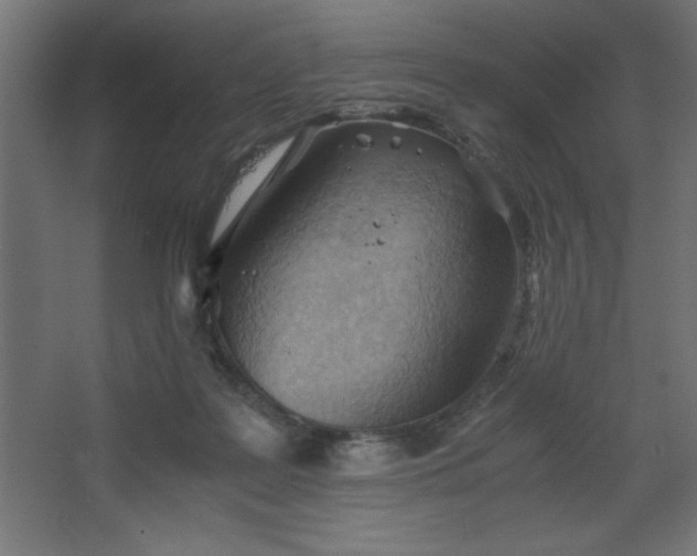 X0000067830219200604201224