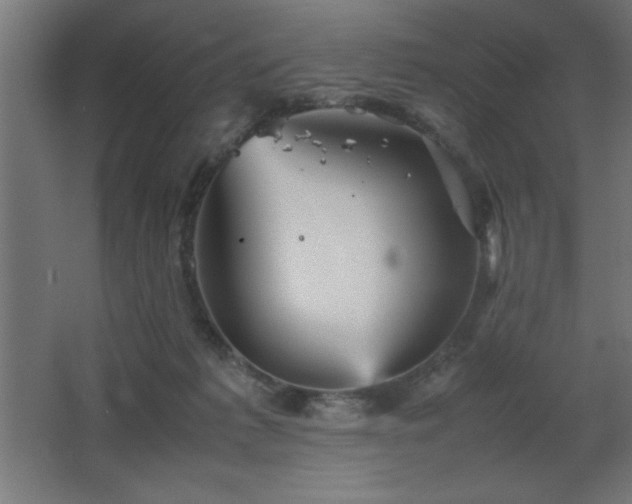 X0000067830221200604201224