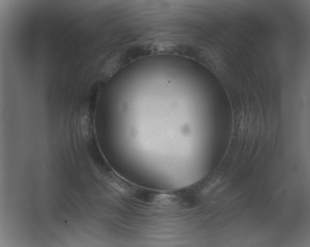 X0000067830222200604201224