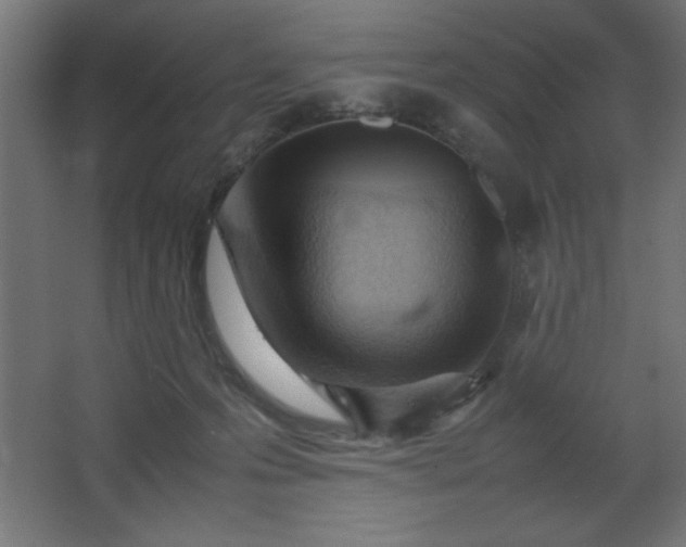 X0000067830223200604201224