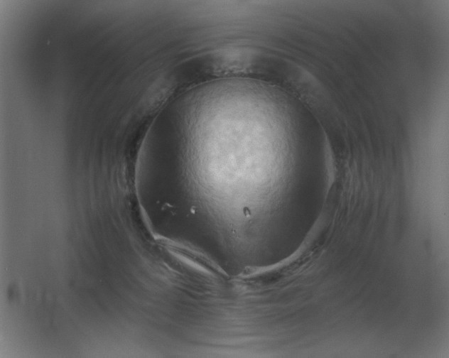 X0000067830224200604201224