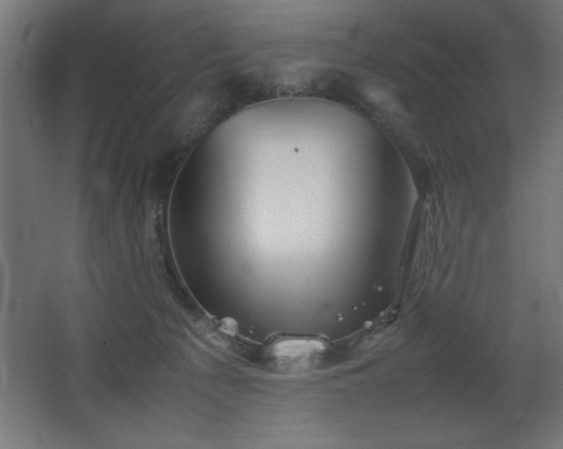 X0000067830225200604201224