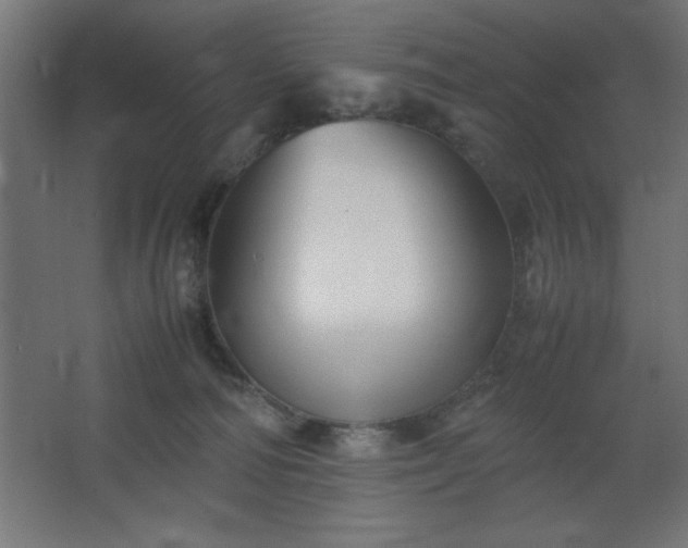 X0000067830226200604201224