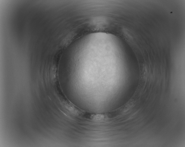 X0000067830230200604201224