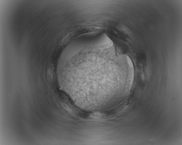 X0000067830231200604201224