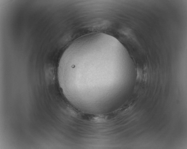 X0000067830232200604201224