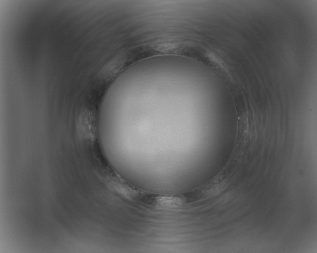 X0000067830234200604201223