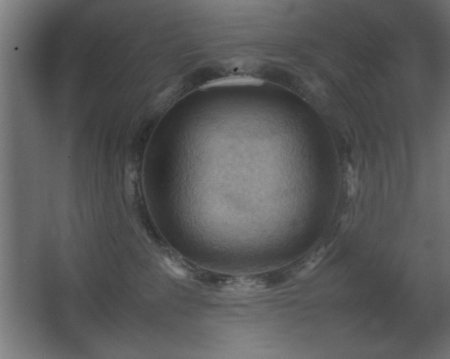 X0000067830235200604201223