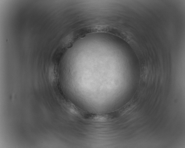 X0000067830236200604201223