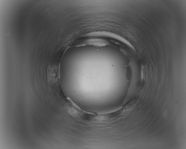 X0000067830237200604201223