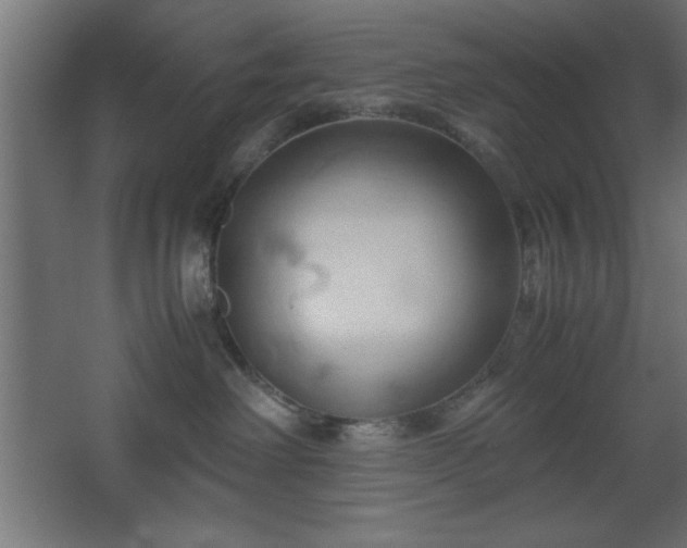 X0000067830238200604201223