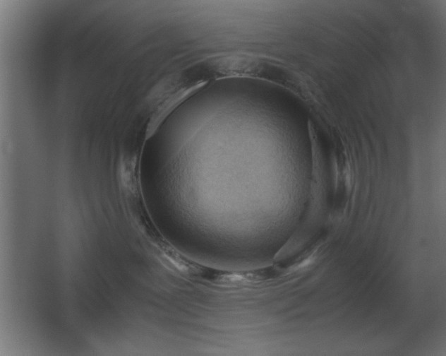 X0000067830239200604201223