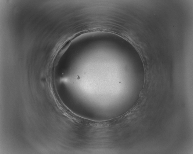 X0000067830241200604201223