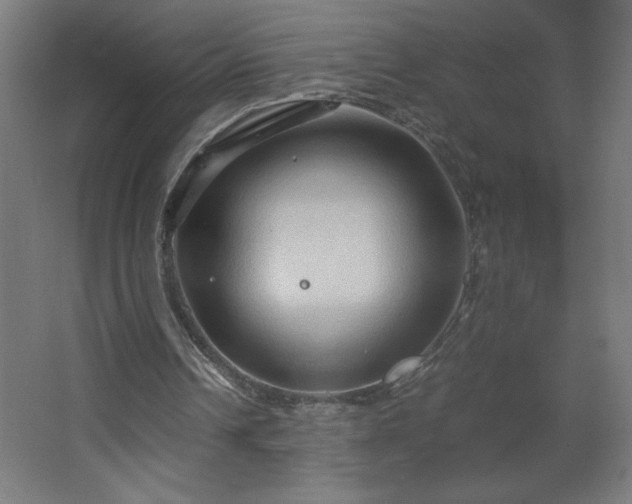 X0000067830242200604201223