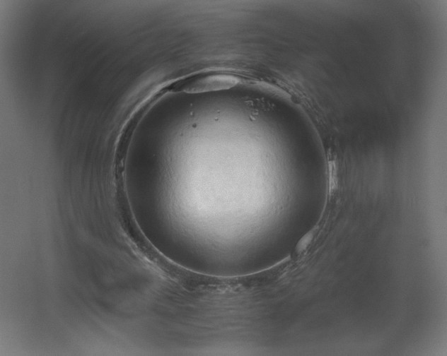 X0000067830243200604201223