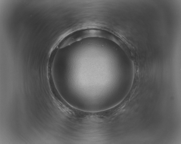 X0000067830244200604201223