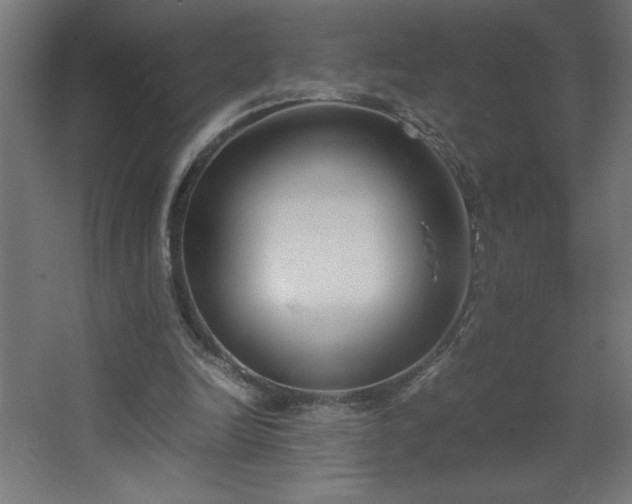 X0000067830246200604201223