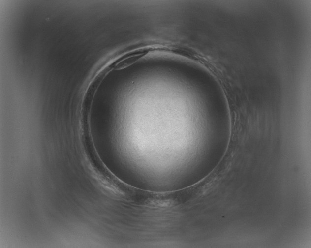 X0000067830247200604201223