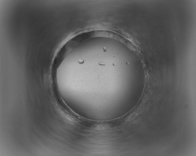 X0000067830248200604201223