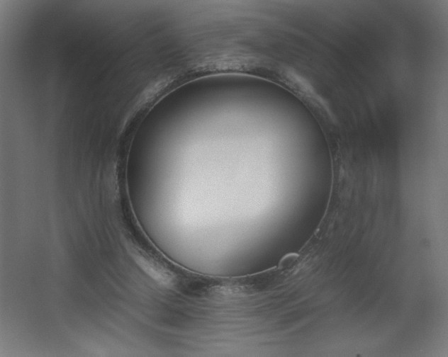 X0000067830250200604201223