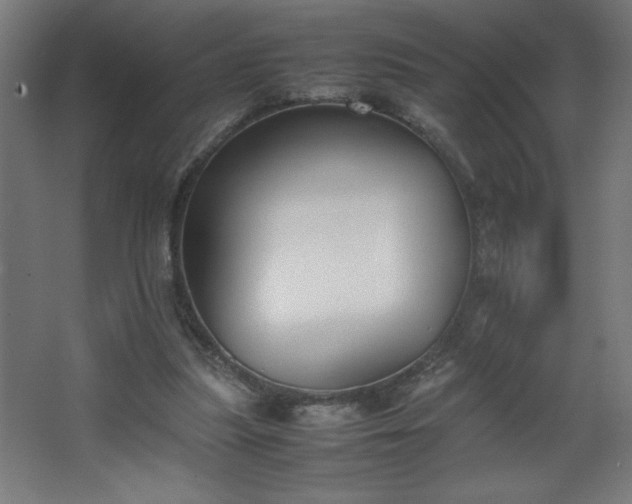 X0000067830251200604201223