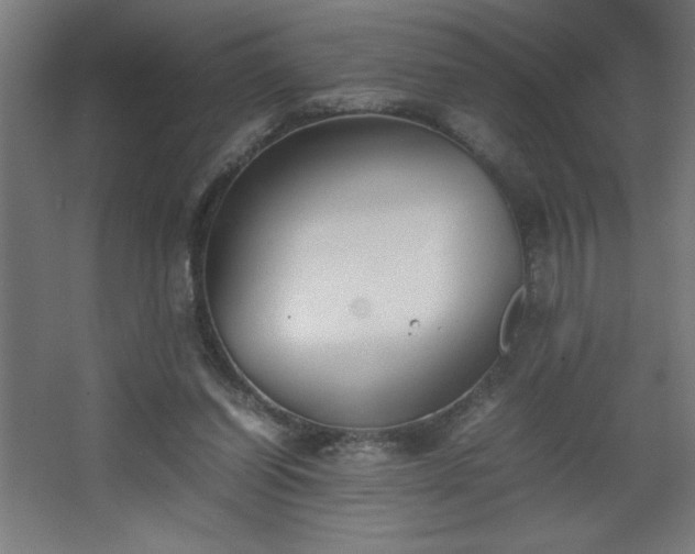 X0000067830254200604201223