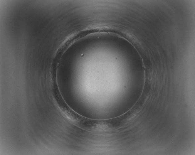 X0000067830256200604201223