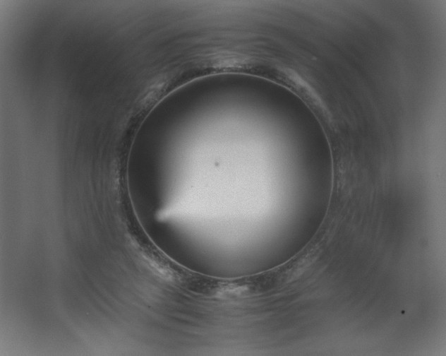 X0000067830257200604201223