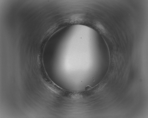 X0000067830258200604201223