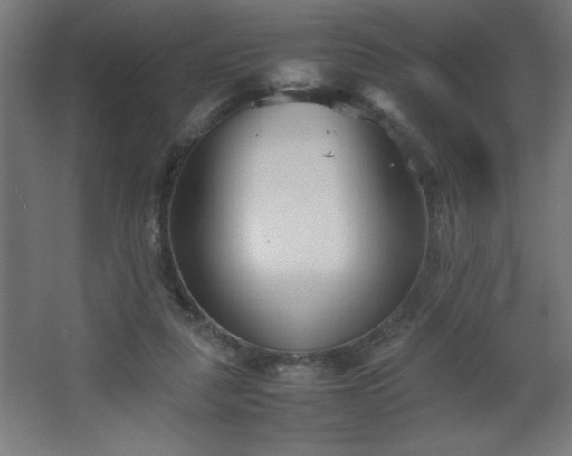 X0000067830259200604201223