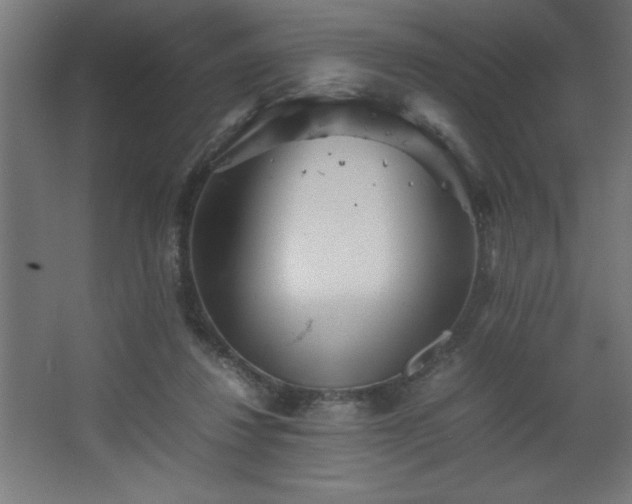 X0000067830260200604201223