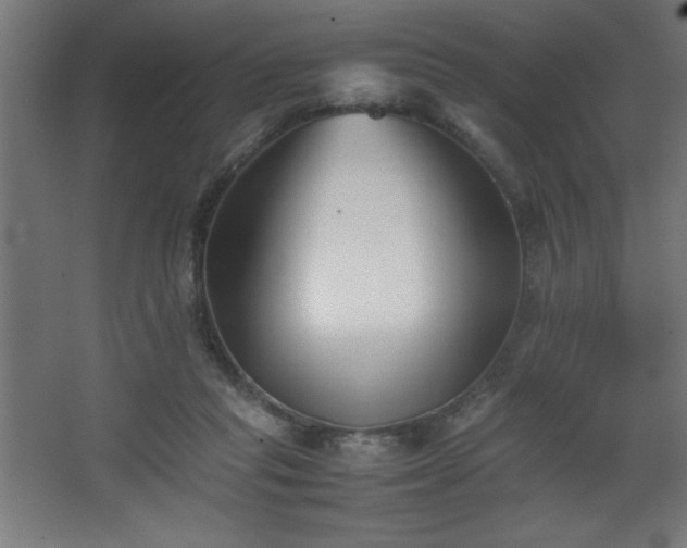 X0000067830261200604201223