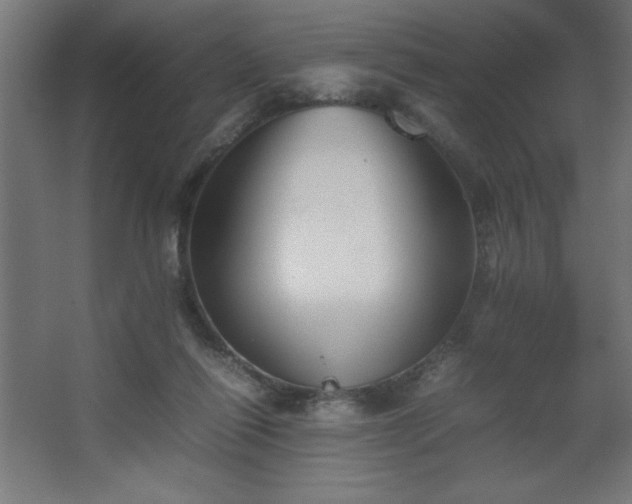 X0000067830262200604201223