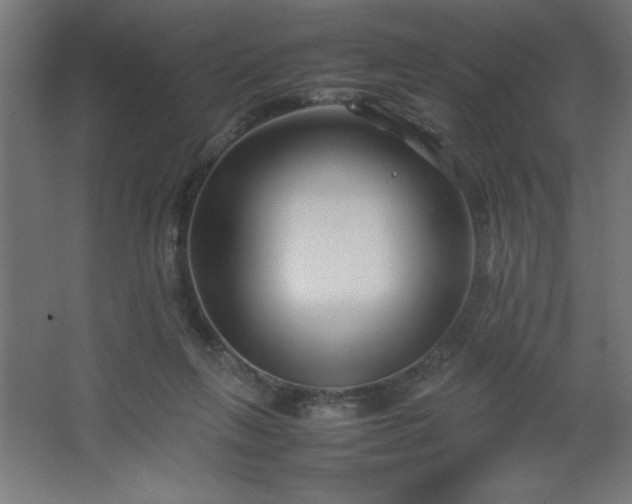 X0000067830263200604201223