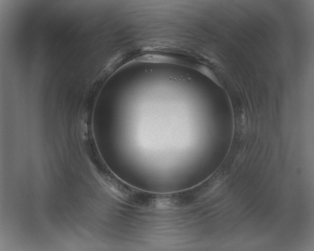 X0000067830264200604201223