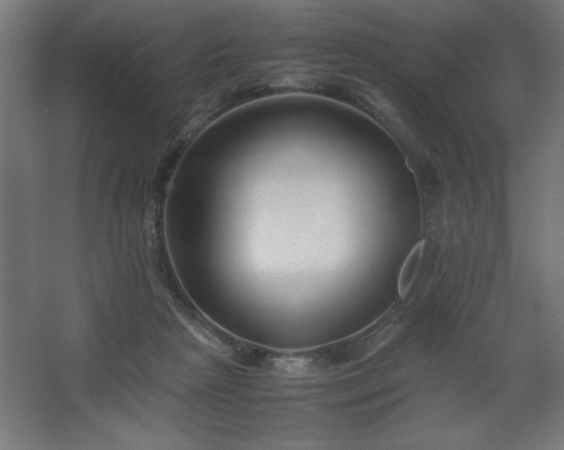 X0000067830265200604201223