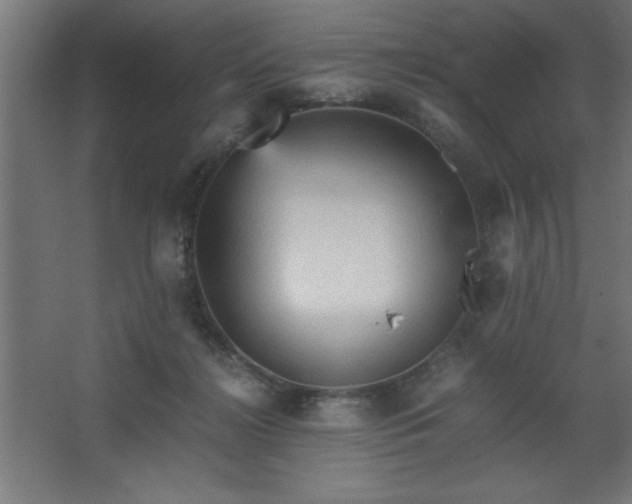 X0000067830268200604201223