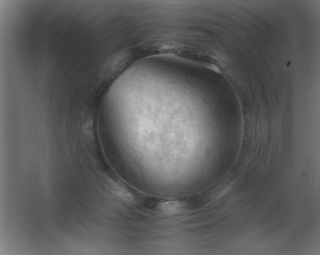 X0000067830269200604201223