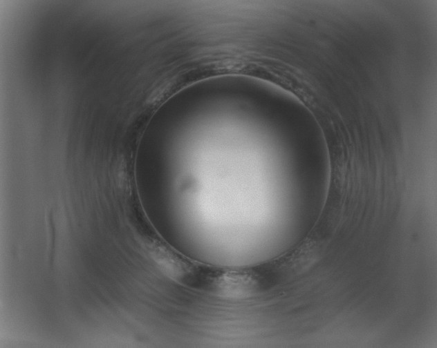 X0000067830270200604201223