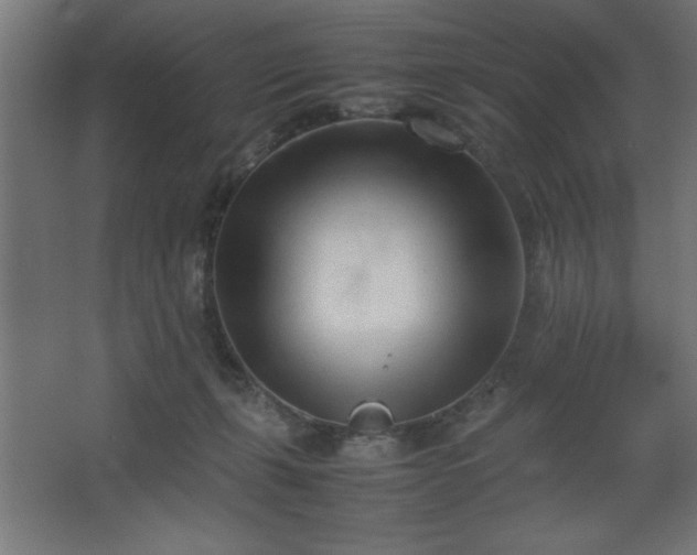 X0000067830271200604201223