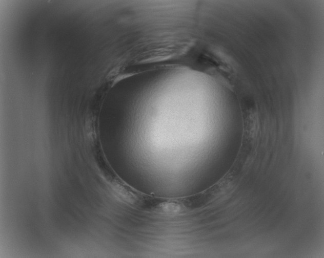 X0000067830272200604201223