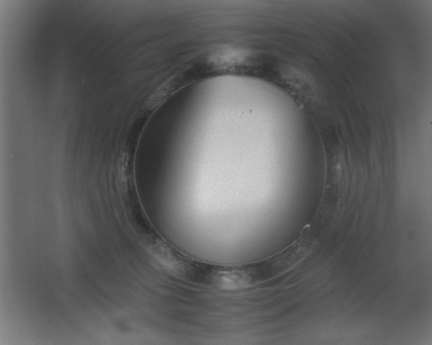 X0000067830275200604201223