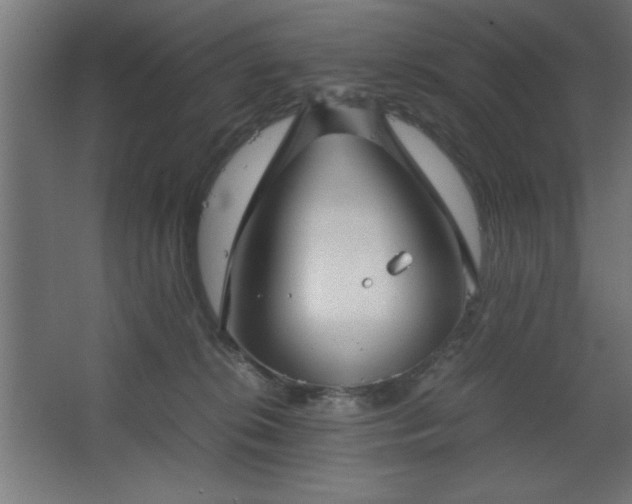 X0000067830276200604201223